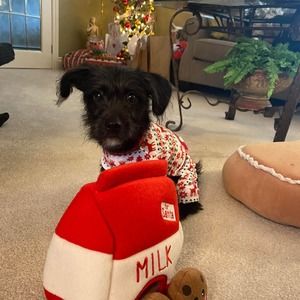 Meet your Posher, Angela